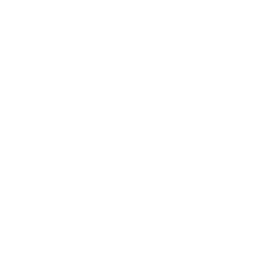 Thomas Ferey logo